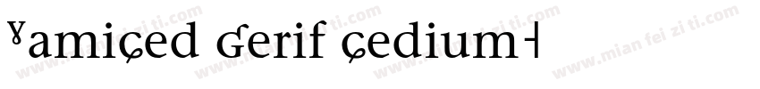 TamiMed Serif Medium字体转换